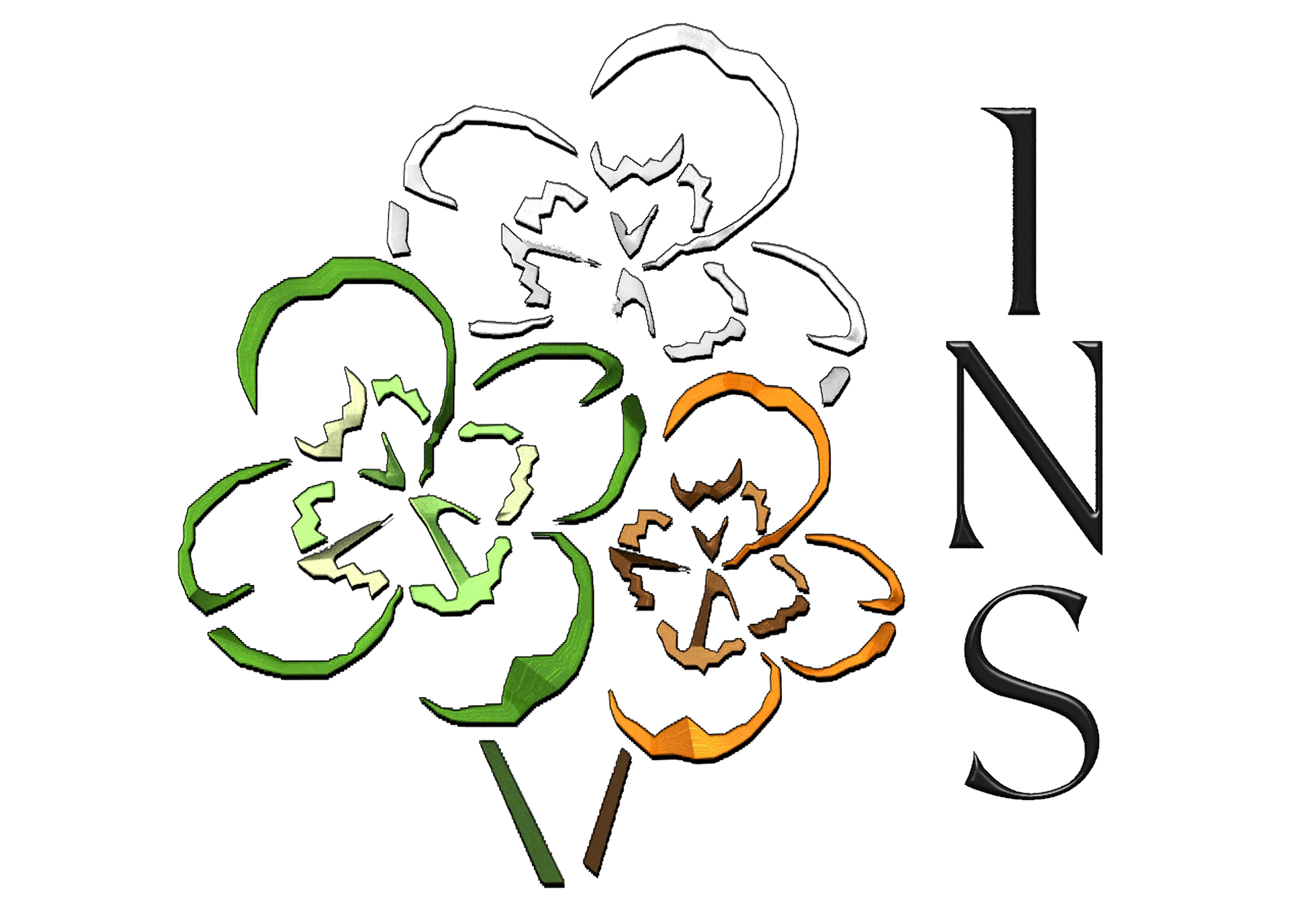 Irish Network Stevenage