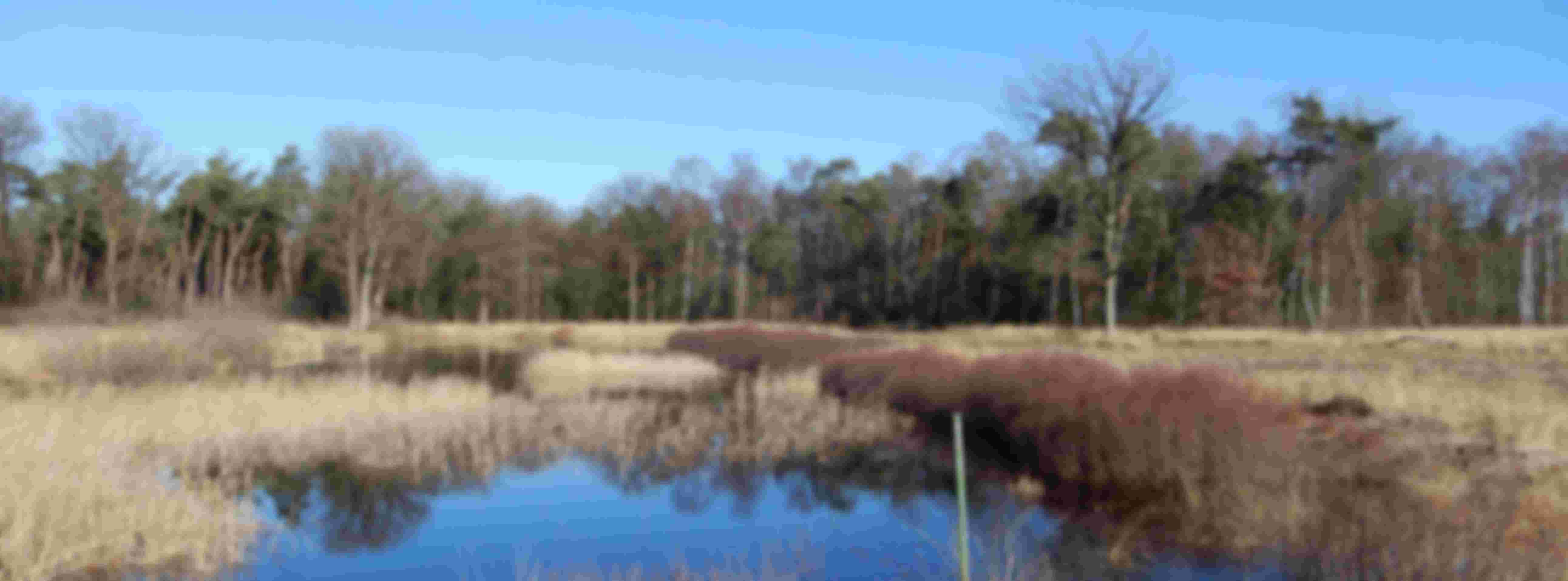 Sticht. Marke Gorsselse Heide