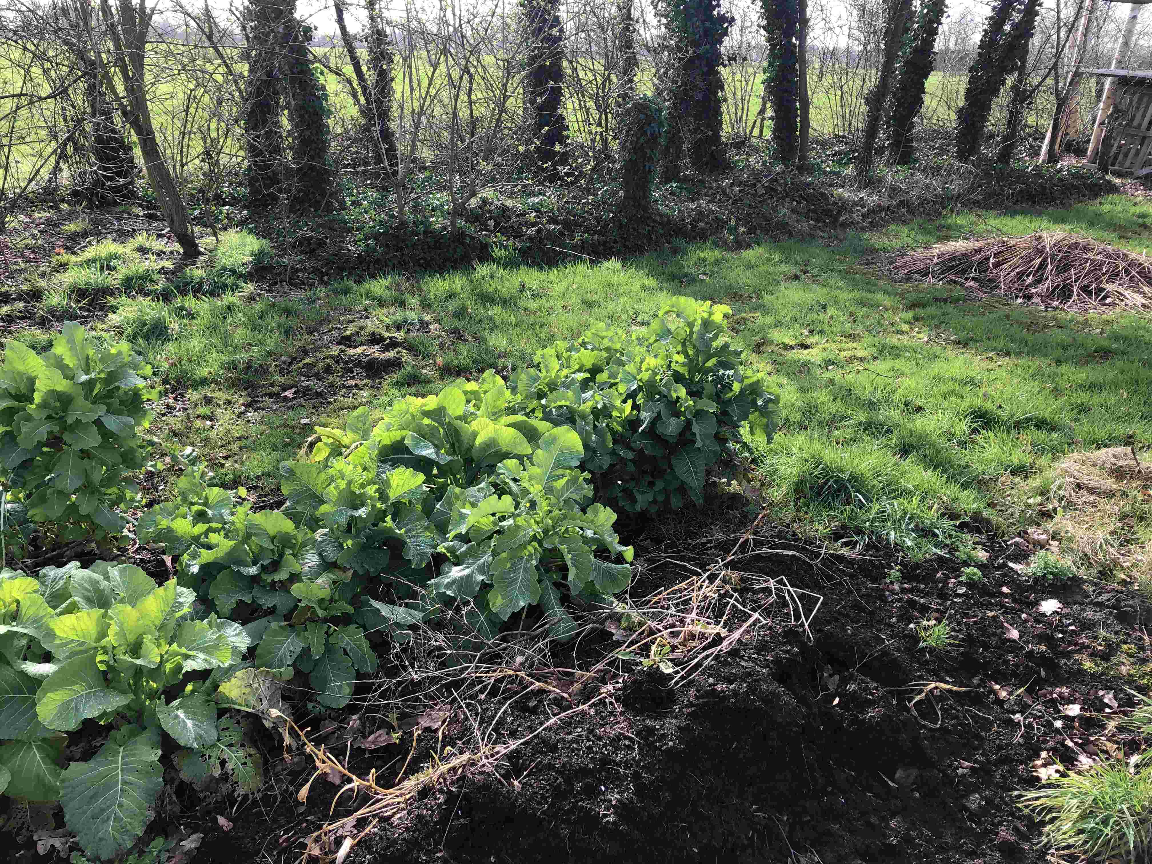 De Warf Permacultuur