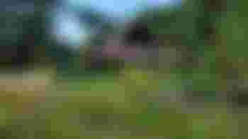 Helpers gevraagd voor klussen in het huis en in de tuinen