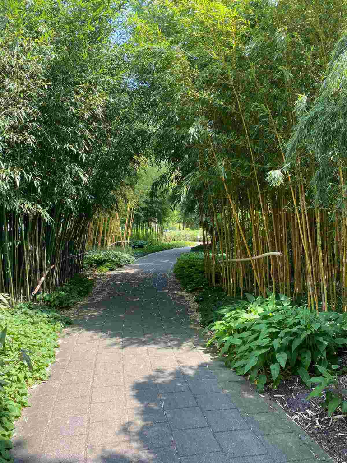 Botanische Tuinen Universiteit Utrecht