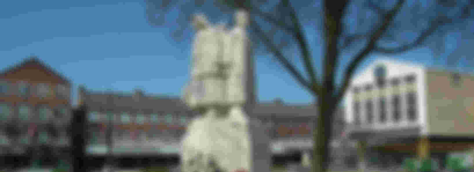 lid comite 4 en 5 mei Velsen