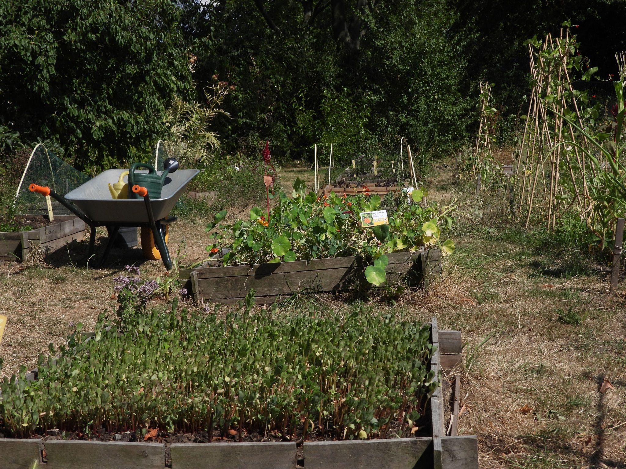 Stadstuin Kanaalweg - Utrecht Natuurlijk