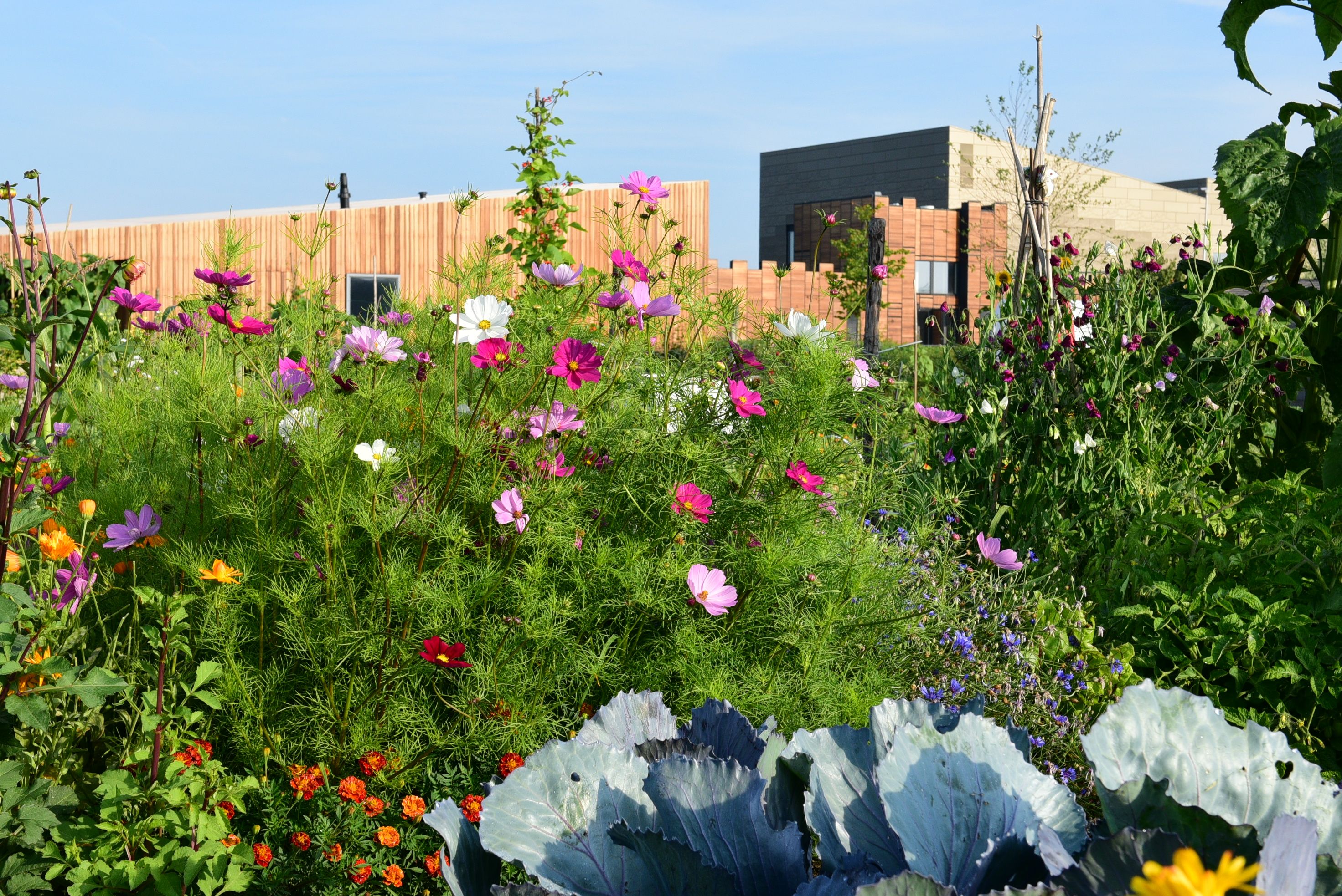 Steede Hoge Woerd - Utrecht Natuurlijk