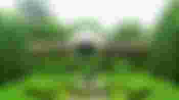 vrijwilligers voor het Theehuis