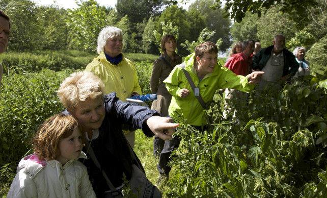 IVN Vecht en Plassengebied