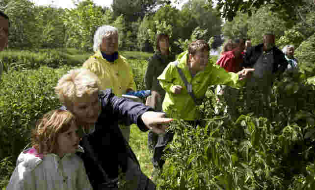IVN Vecht en Plassengebied