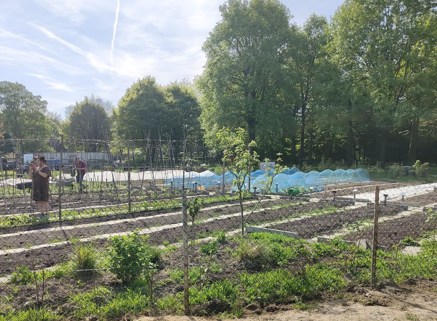 Vereniging Stadstuinderij Venlo