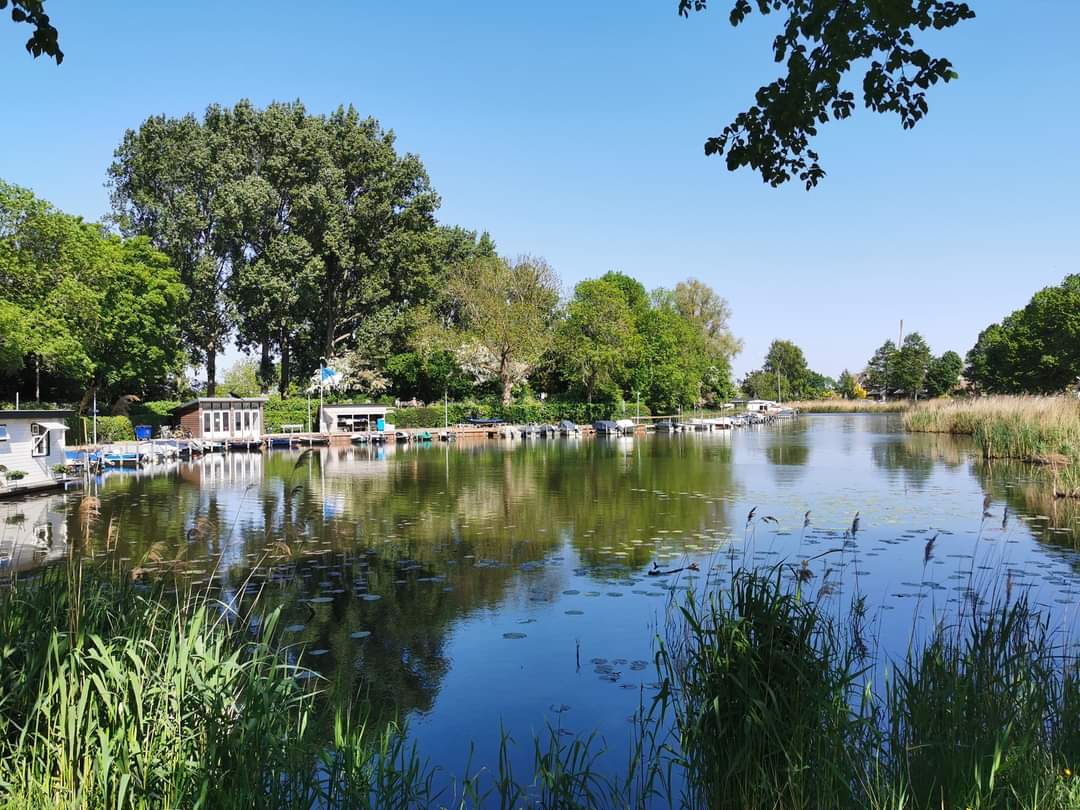 Algemene Weesper Hengelaars Bond