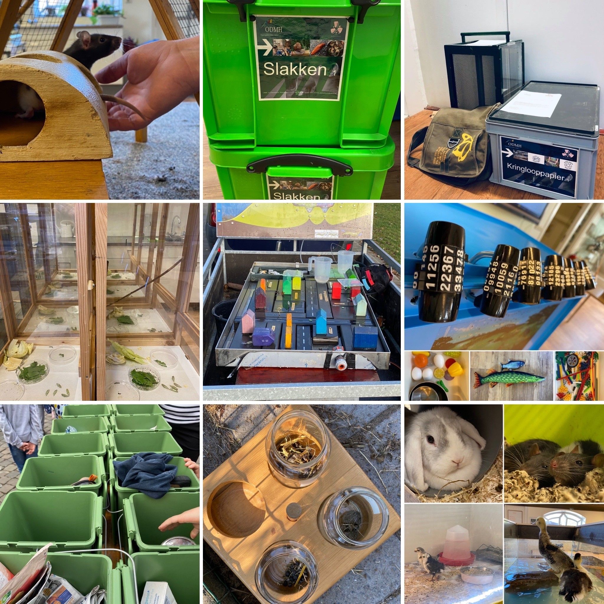 Centrum voor natuur- en duurzaamheidseducatie De Zwanebloem