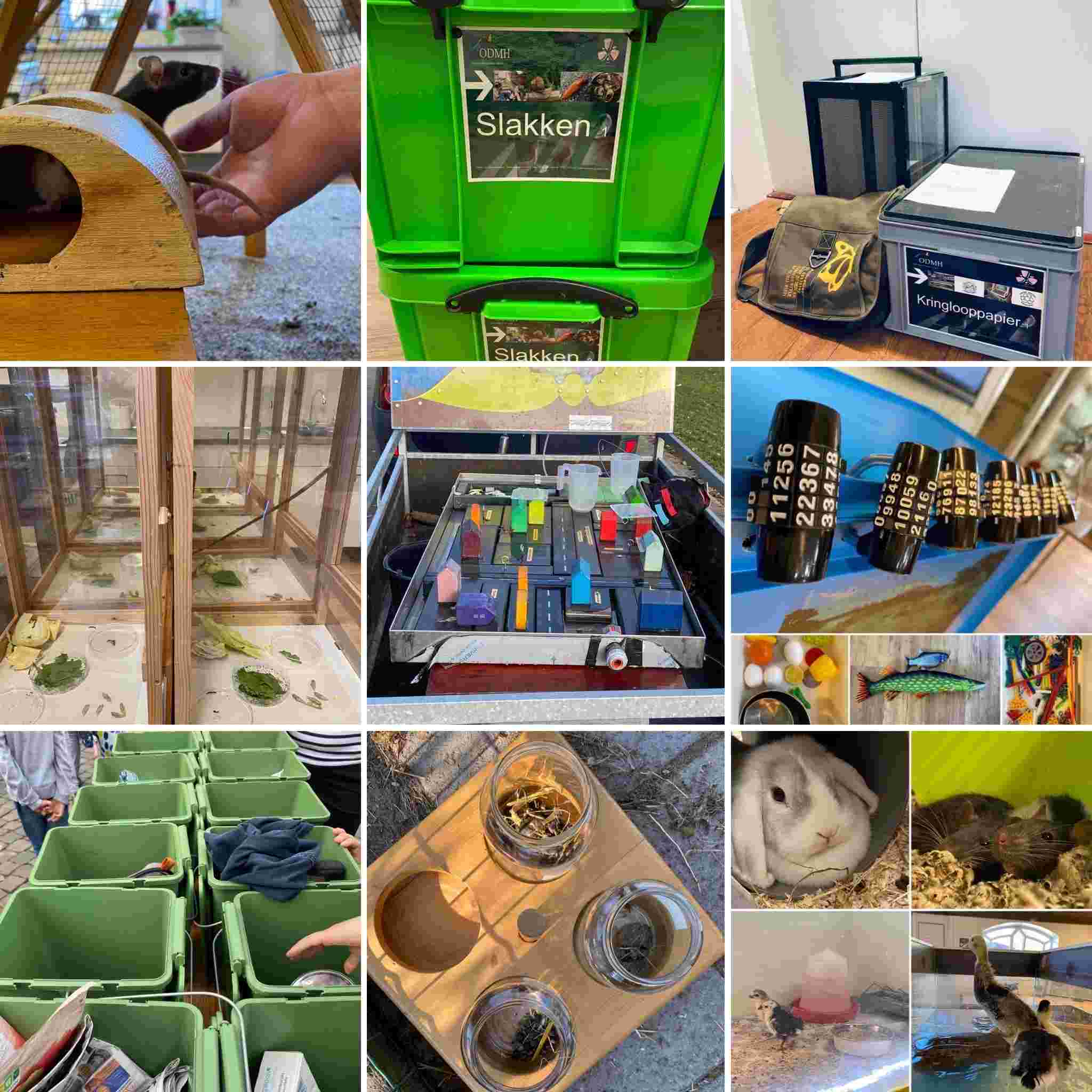 Centrum voor natuur- en duurzaamheidseducatie De Zwanebloem