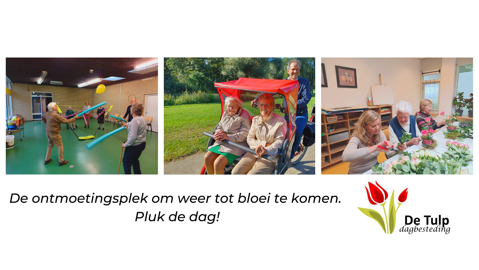 Dagbesteding De Tulp