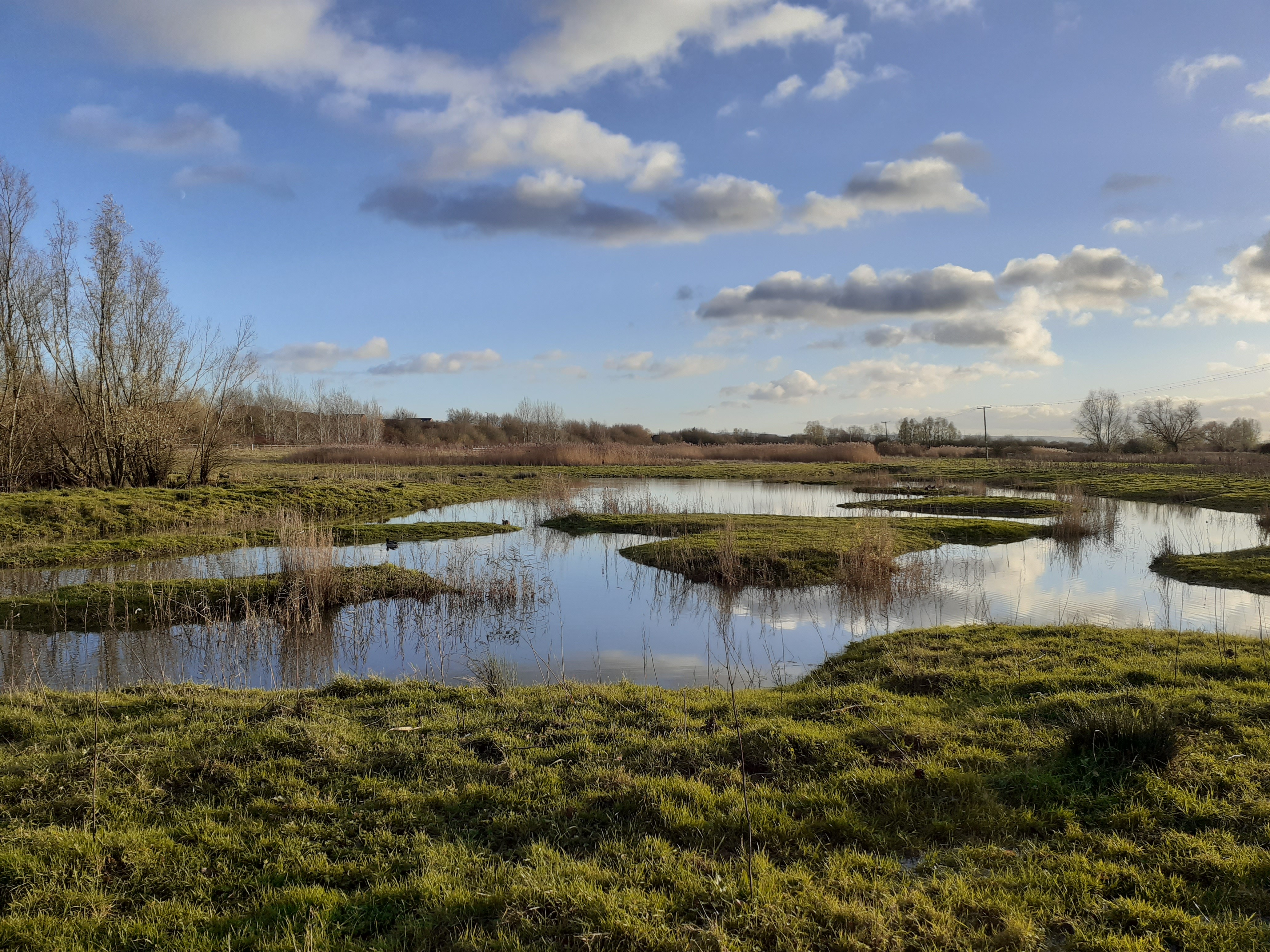 Tewkesbury Nature Reserve