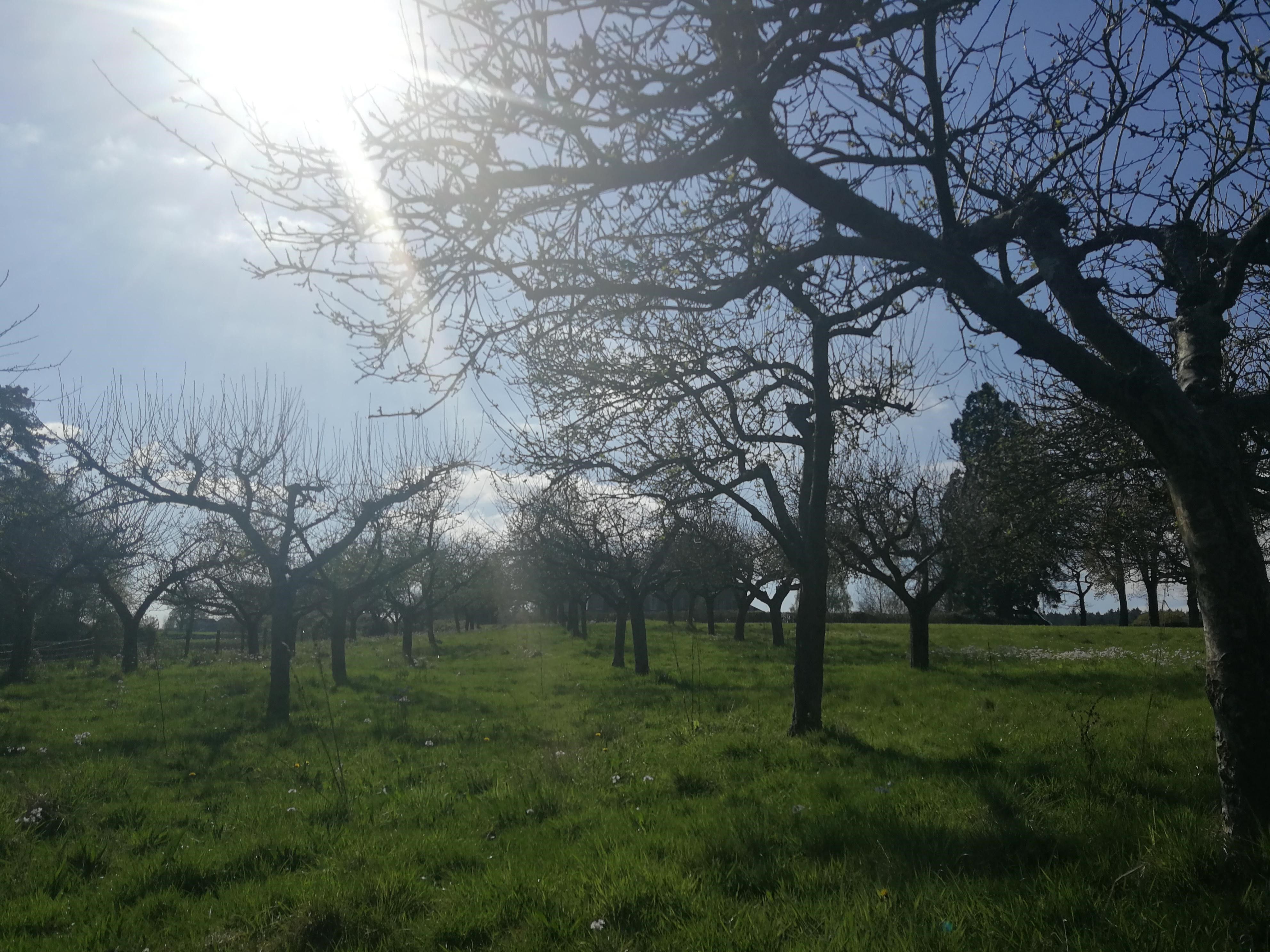 Camphill Village Trust