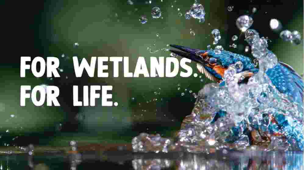 CBU Horticulture and Maintenance Volunteer