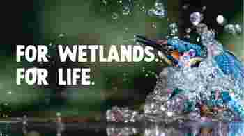 Welcome Host Volunteer