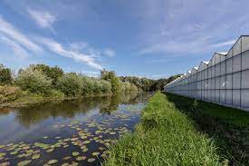 Cursus Samen GROEN DOEN- duurzaam tuin aanleggen