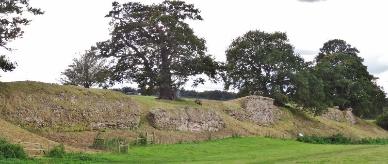 Norfolk Archaeological Trust