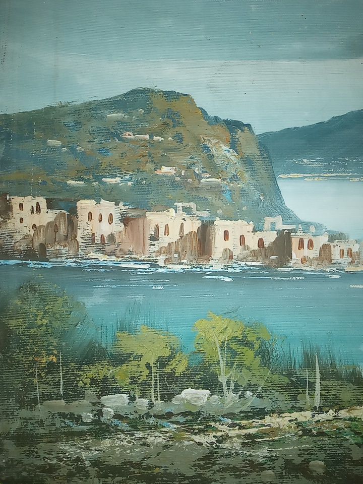 Sint Maarten Community Collective of South Reward