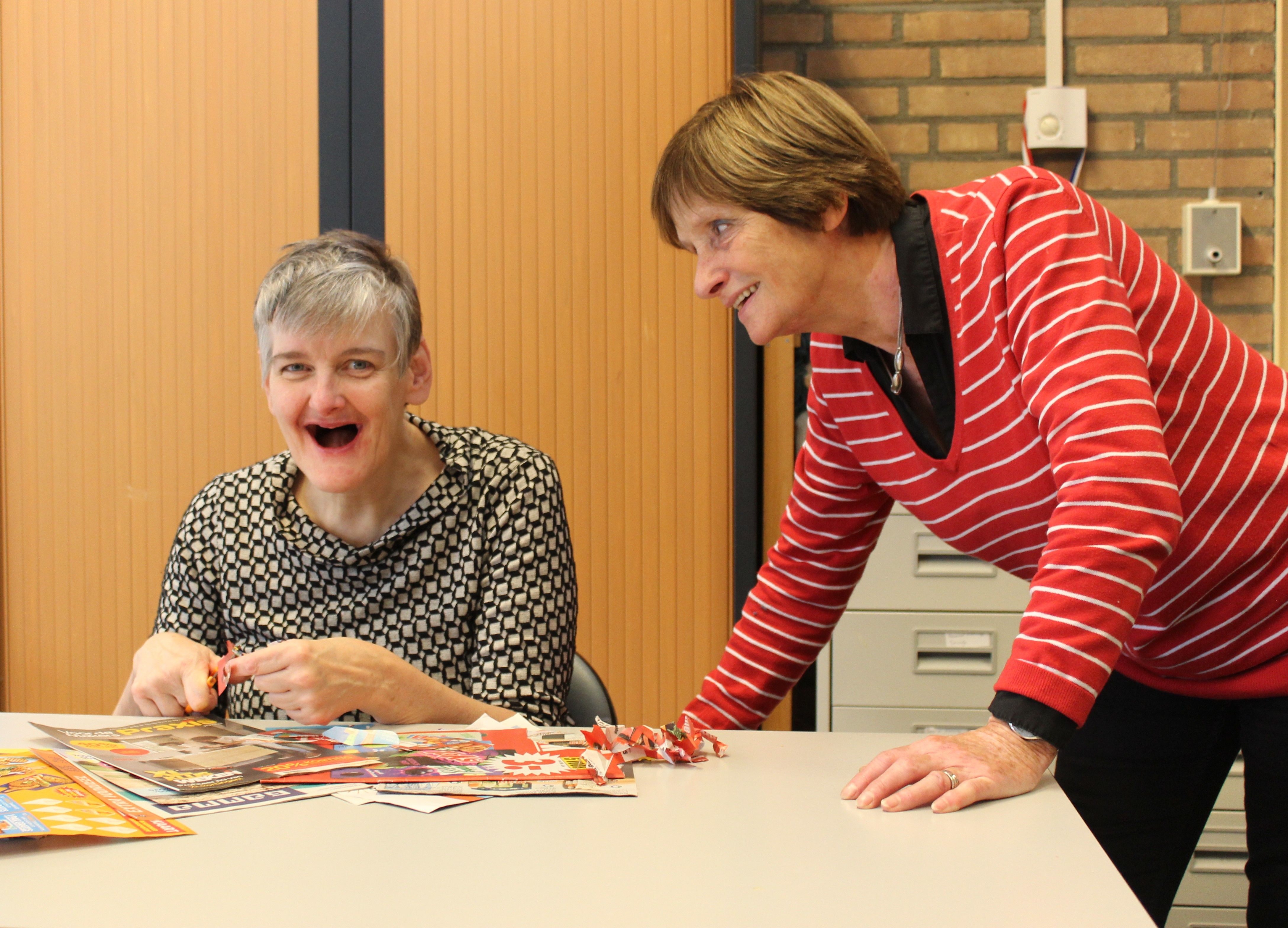 Twentse Zorgcentra, de