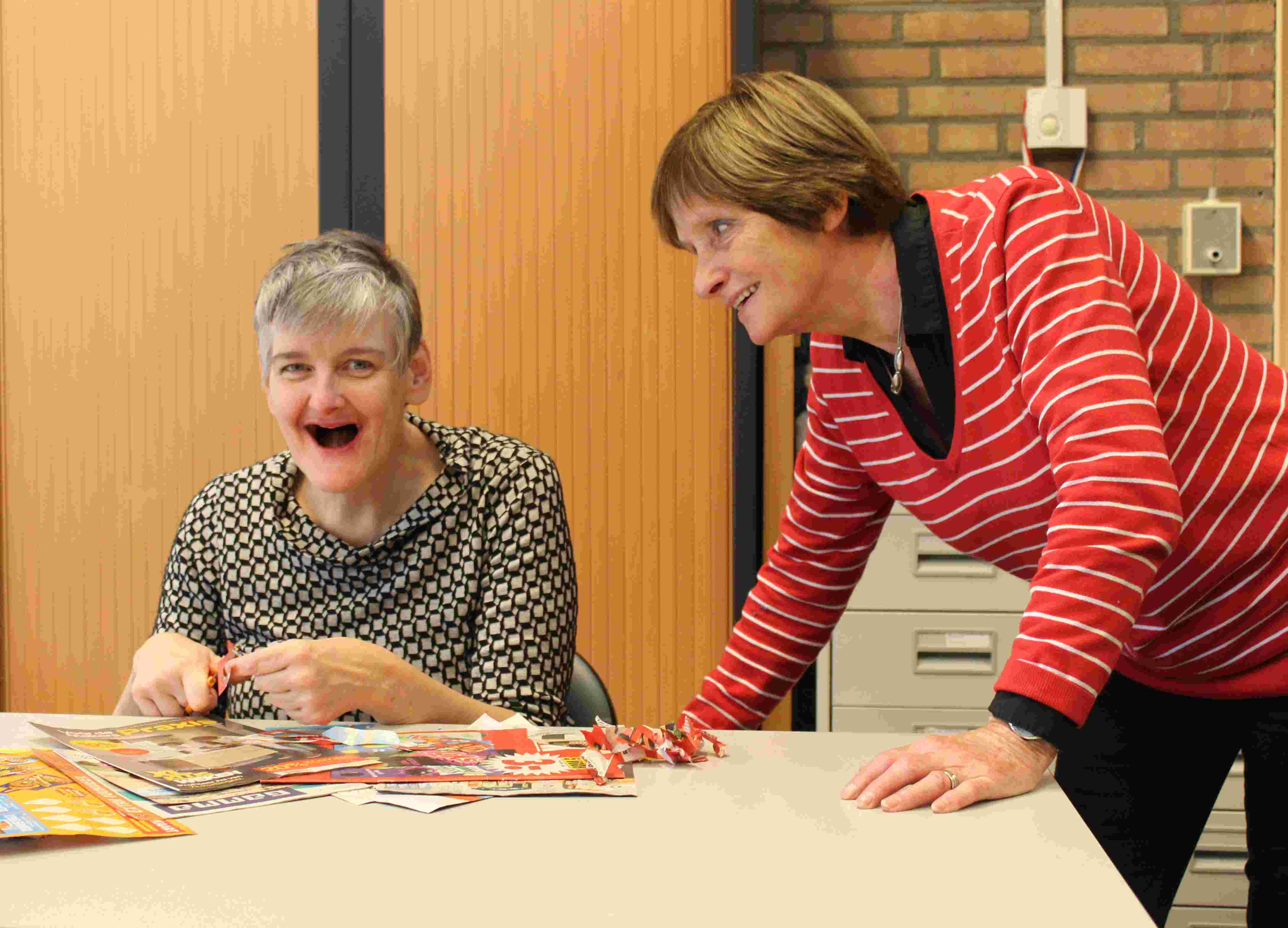 Vrijwilliger voor activiteiten M/V (86)