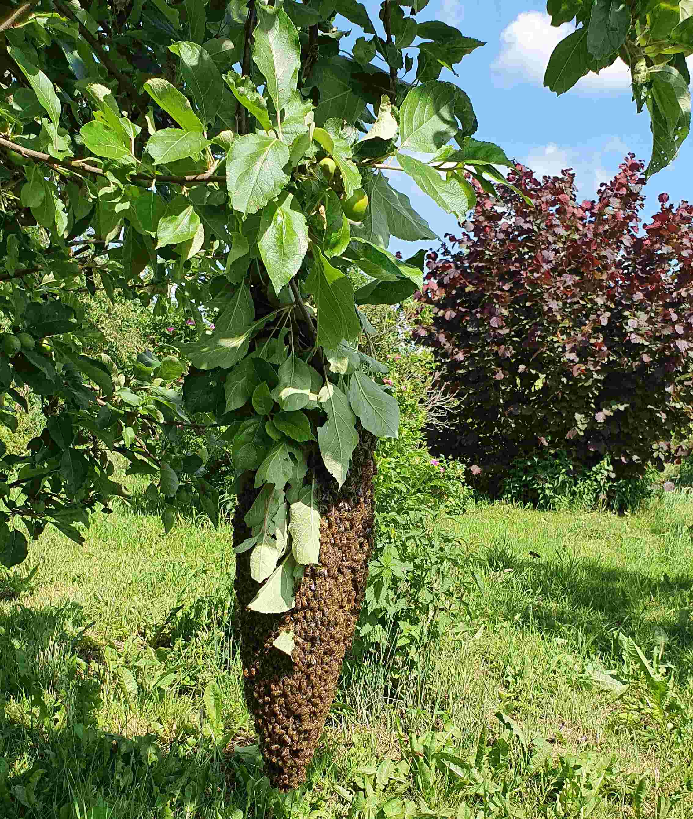 Roots Centrum voor Duurzame Landbouw