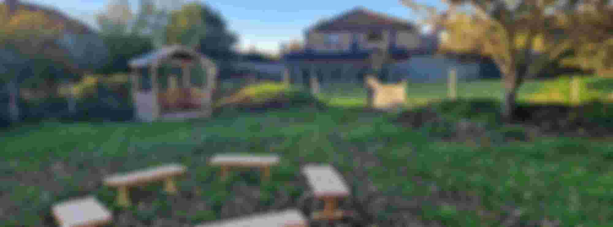 Mr Bee's Family Centre