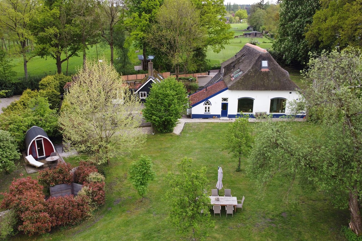 Dsh Live your Dreams