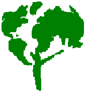 Meadowside Primary School