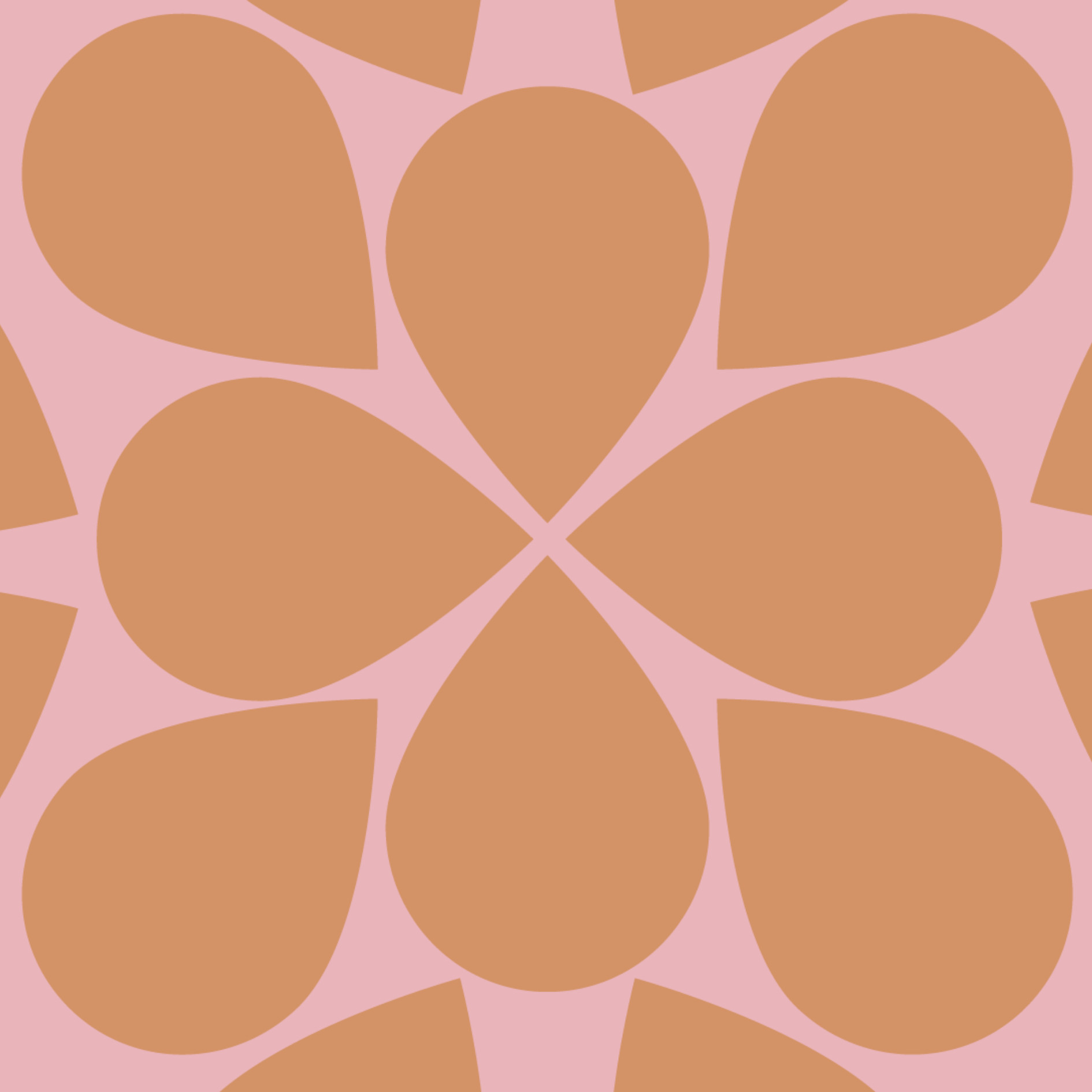 Stichting Terre des Hommes Winkels