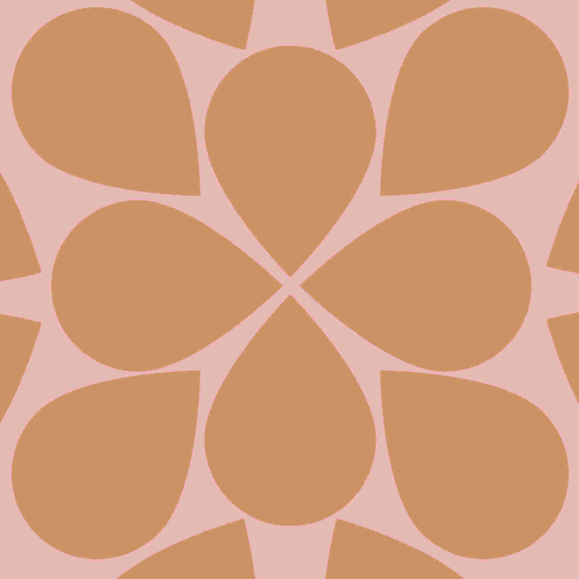 Is een winkel jouw "place to be"?