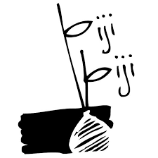 Biji-Biji Initiative