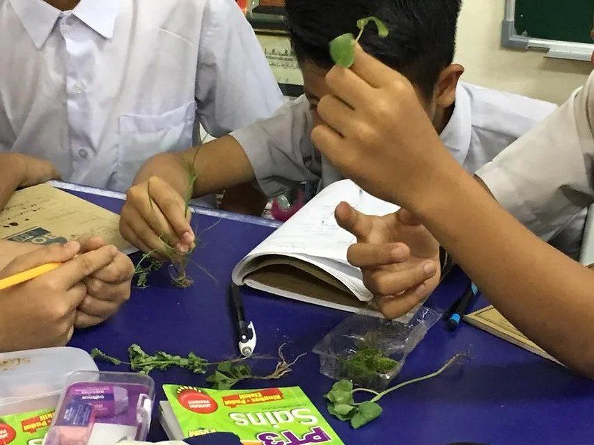 Volunteer as English Tutor - 7 July 2023