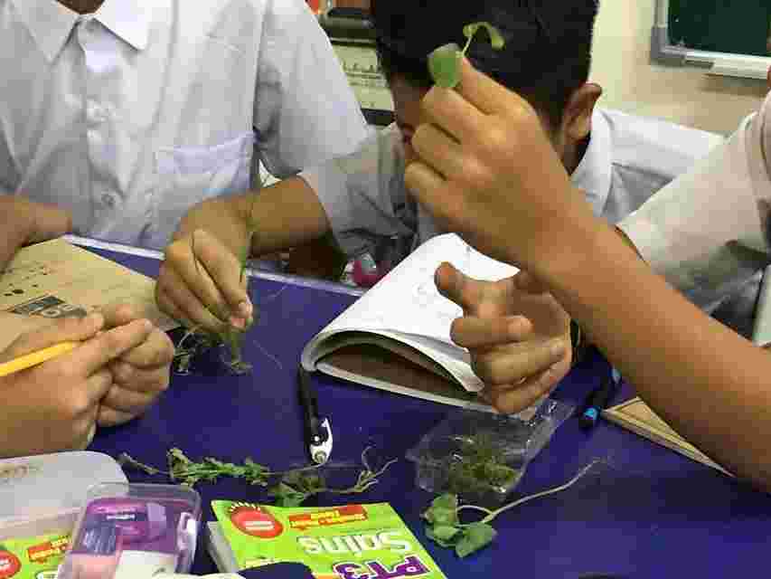 Volunteer as Bahasa Melayu Tutor for SPM Students