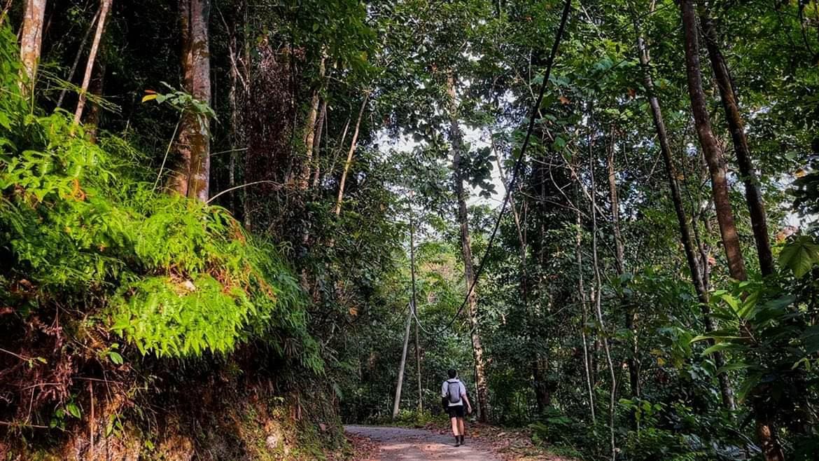 Membership Application