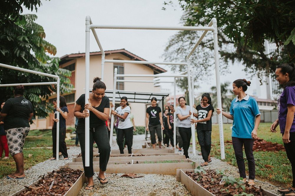 Eats, Shoots & Roots