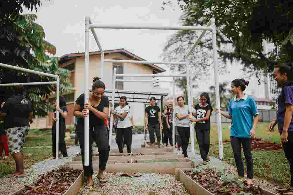 Eats, Shoots & Roots