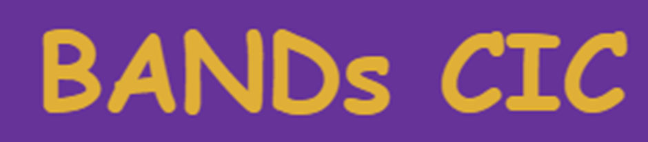 Bath Autism and NeuroDiversity spectrums (BANDs) CIC