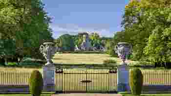 Food & Beverage Volunteer