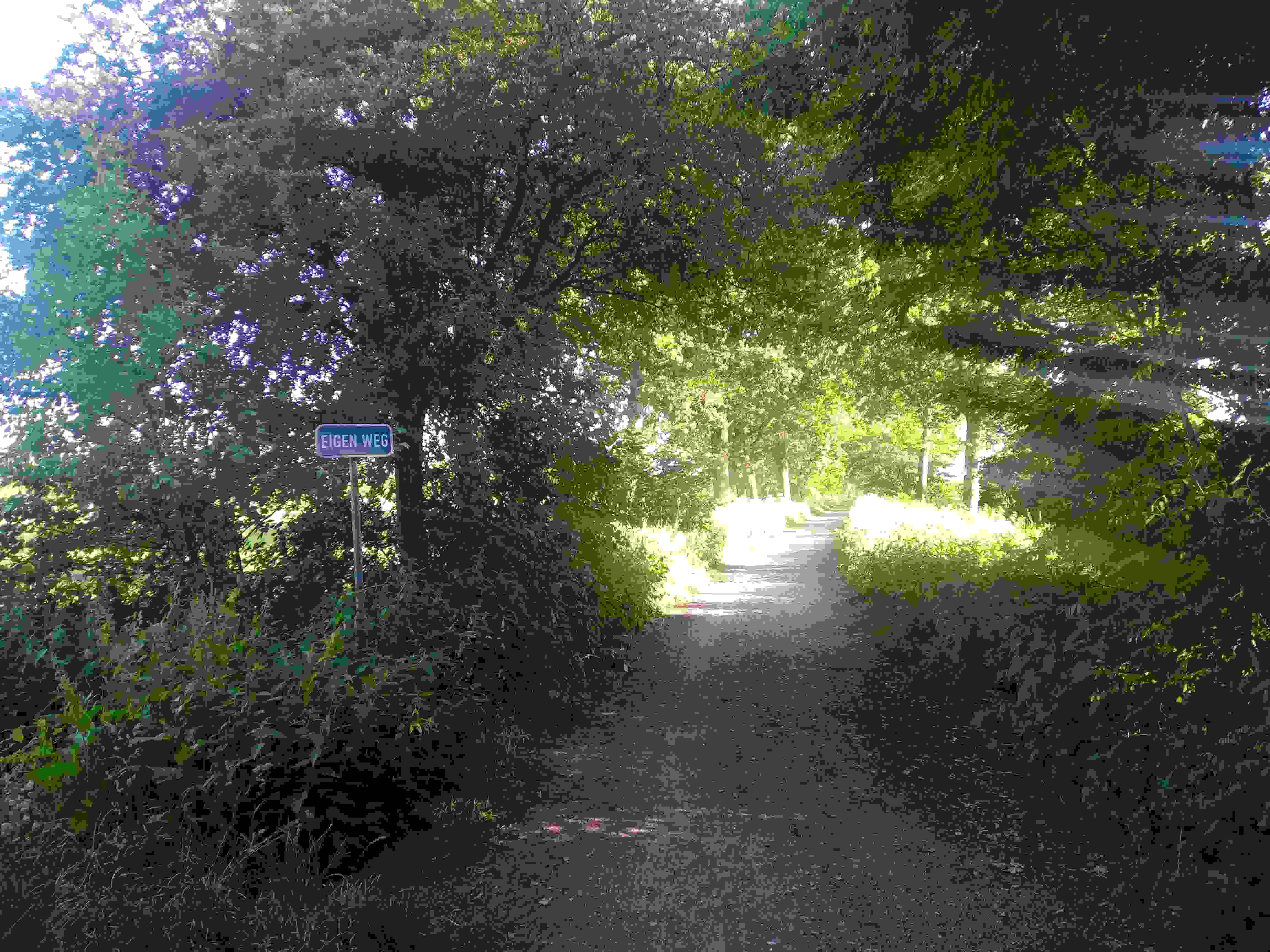 Stichting Behoud Prinsenlaan