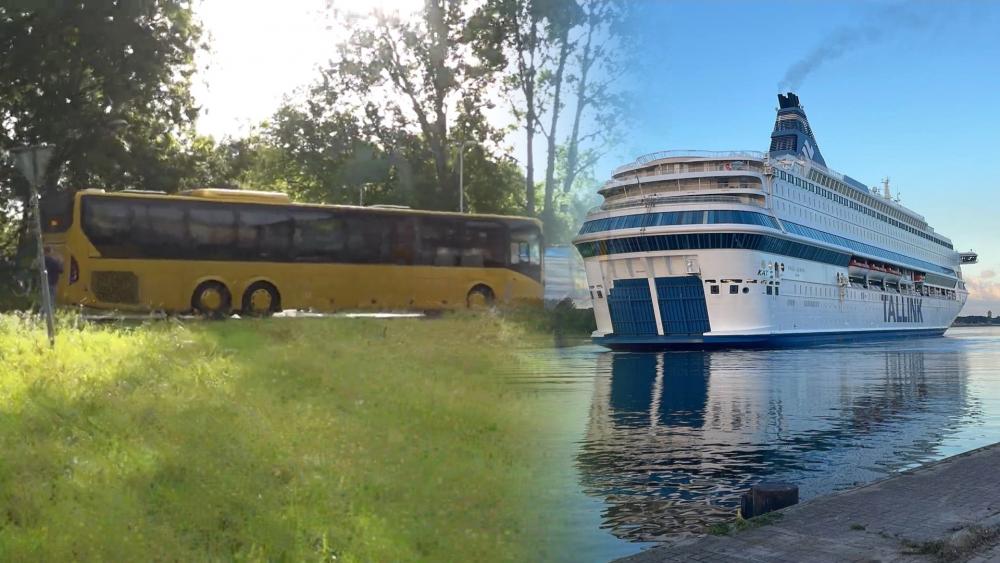 Welzijn Velsen_Noord