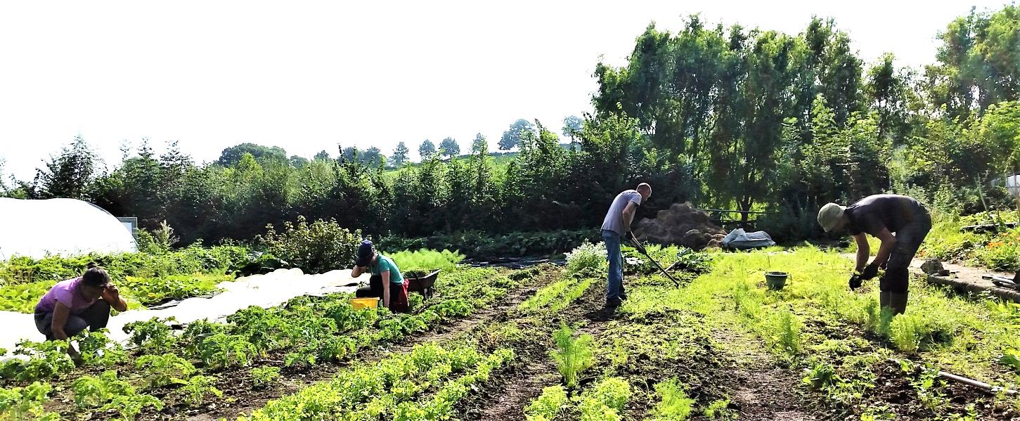 Paddington Farm Trust