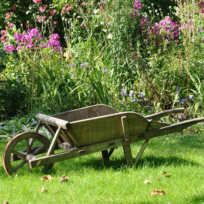 Buurttuin 't Allegaardje in Zwaag