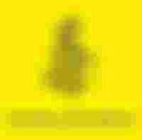 Amnesty International Hoorn e.o.