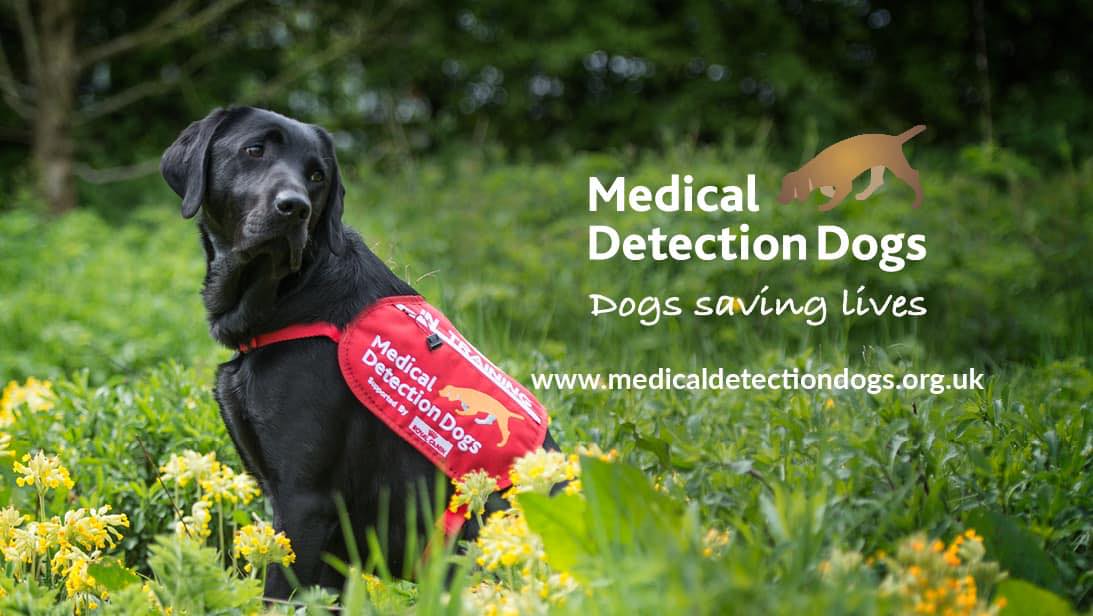 Medical Detection Dogs