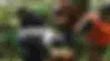 Youth nature club supervisor IVN