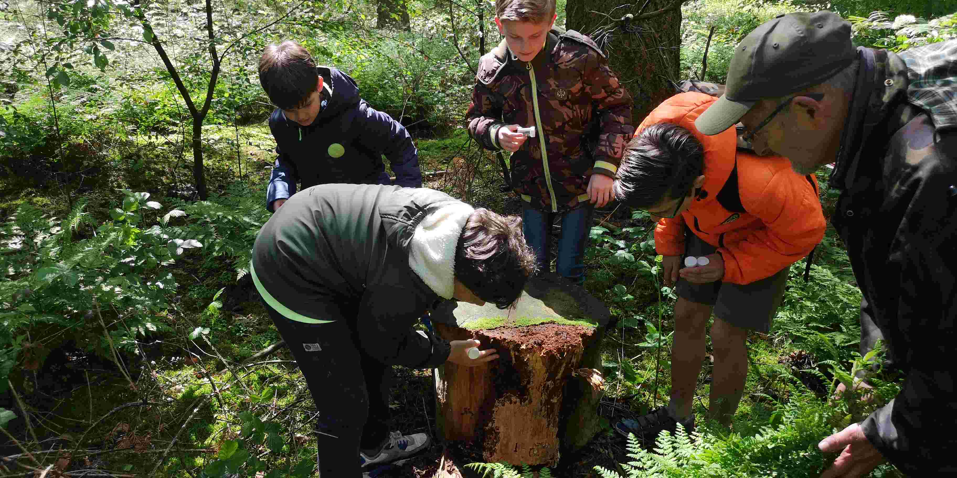 Begeleider jeugdnatuurclub IVN