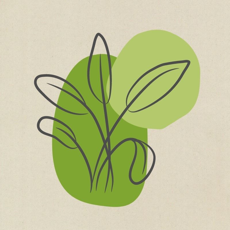 Stichting Kruidenavontuur Wenum