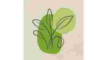 Stichting Kruidenavontuur Wenum