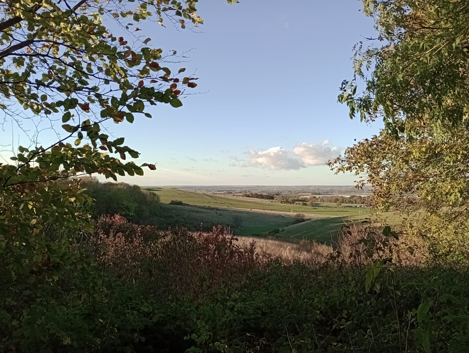 Therfield Regulation Trust